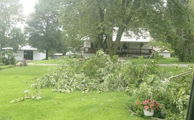 Lots of limbs and tree tops down at the Lonnie Shrock farm north of town.