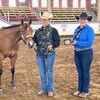On his maiden voyage, yearling gelding “Cinch Your Dreams” won the Grand Champion buckle at the Golden Circle Horse show in Sedalia, Mo.  “McDreamy” was raised and shown by Janelle Smith of Jamesport, on the left. This show was held July 17-18th at the Missouri State Fair grounds with a great turn out of over 80 head in the halter class divisions.