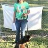 Kaylen Sterneker - Obedience Puppy Class with Hazel, a Labrador Retriever.